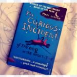 The Curious Incident of the Dog in the Night-Time Summary