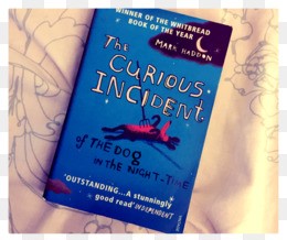 The Curious Incident of the Dog in the Night-Time Summary